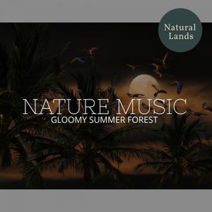 Nature Music - Gloomy Summer Forest