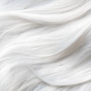 Since 2004 (Explicit)