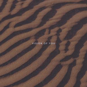 Vision of You