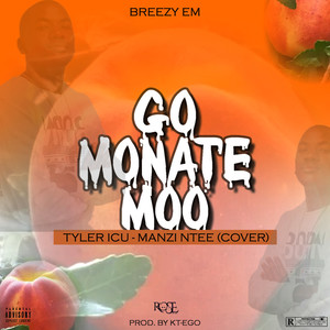 Go Monate Moo Tyler Icu-Manzi Ntee (Cover)