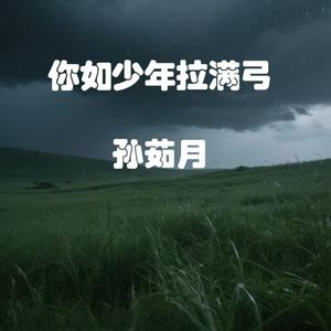 你如少年拉满弓