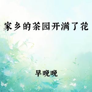 家乡的茶园开满了花
