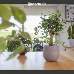 I Wish I Didn't Love You So