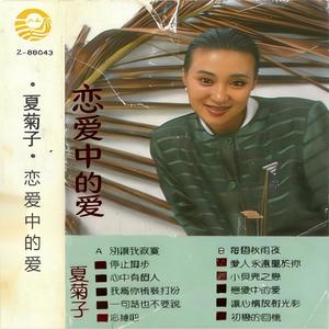 我为你梳妆打扮