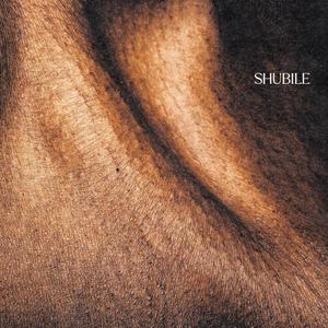 Shubile (feat. Lwamii, Colkaze, Terebi, TriggaNasty & WalterCanAutoTune) (Explicit)