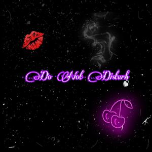 Do Not Disturb (Explicit)