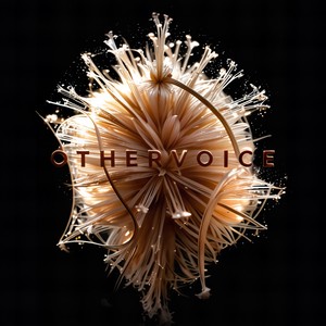 Setting Sun (Golden Hour Mix)