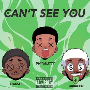 Can't See You (feat. 9Ninelitty & Aiibreed) (Explicit)