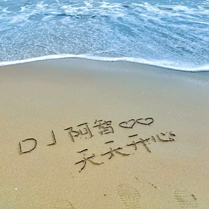 阿智Rmx - 再见年少纯真 (1.1x)