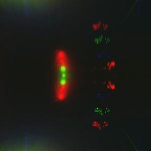 Tommy Pickles (Jay Humble Remix|Explicit)