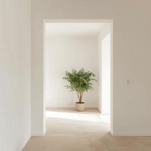 Airplane In Estocolmo