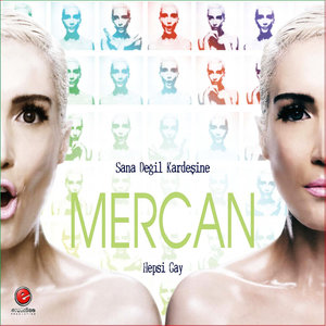 Hepsi Gay (Hepsi Şey Version 3)