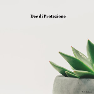 Dee di Protezione