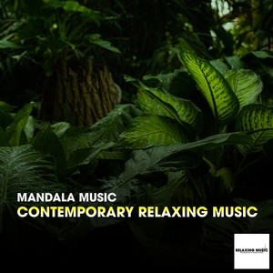 Contemporary Relaxing Music