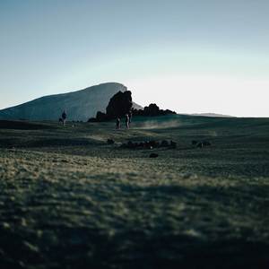 Alone