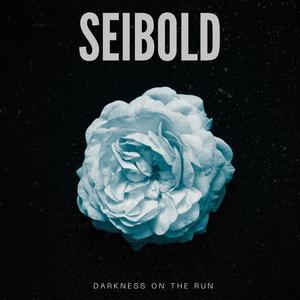 Welcome the the Dark Side