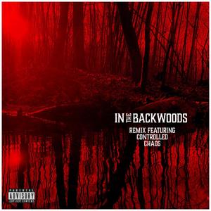 In The Backwoods (feat. Controlled Chaos) [Remix] [Explicit]