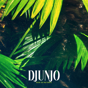 Djunjo - Forest Walk