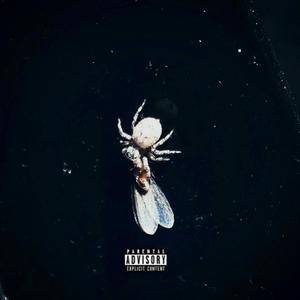 INTRO/ZONE (Explicit)