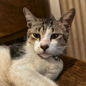 Ooo Baby Baby (COVER版)