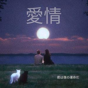 愛情 (Amar)