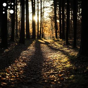 Serene Woodland Shadows