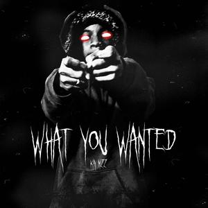 What You Wanted (Explicit)