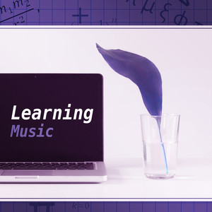 Learning Music – Soft Music for Reading, Improve Cognitive Possibility, Exam Study, Focus and Study, Study Sounds, Nature Sounds