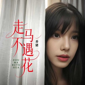 走马不遇花 (甜美DJ版)
