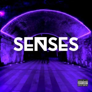 Senses (Explicit)