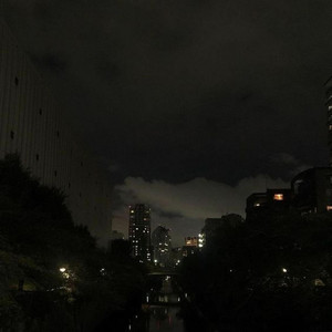 dear bruce, i need to be honest and clear (Explicit)