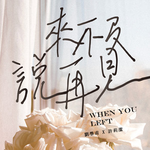 来不及说再见