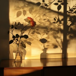 相见恨晚 (深情版)