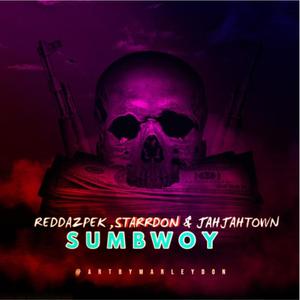 Sum Bwoy (feat. StarDonn & Jah Jah Town) [Explicit]