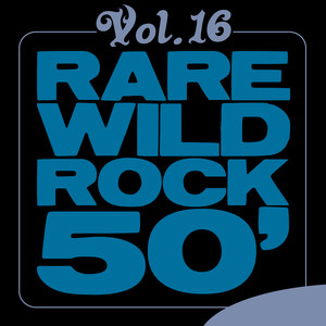 Rare Wild Rock 50', Vol. 16