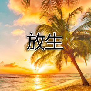 琵琶行-溜溜&九喜