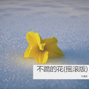 不跪的花-刘德斌