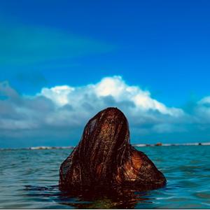 On One (feat. Mook!e) (Explicit)