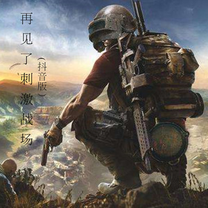 再见了刺激战场