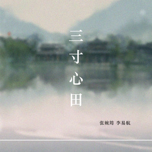 三寸心田 (DJ名龙版)