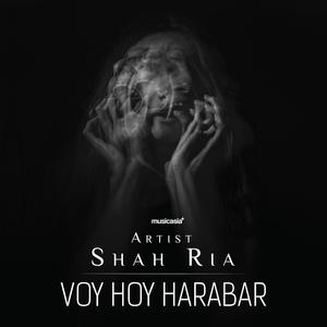Voy Hoy Harabar(feat. Sd Arjun Sharma)