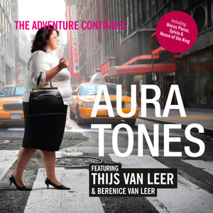 If This Ain't Funky(feat. Berenice Van Leer)