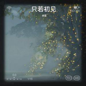 余梁 - 只若初见