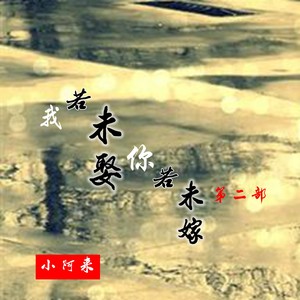 我若未娶你若未嫁 (第二部)