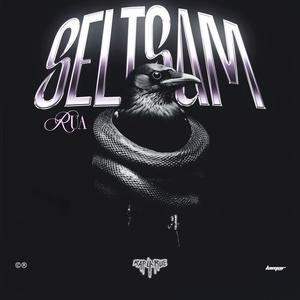 Seltsam (Explicit)