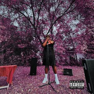 THE UNTOLD STORY.. (feat. DENMARK PEOPLES) (Explicit)