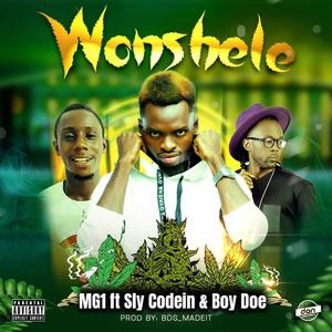 Wonshele (feat. Codein & Boy Doe)