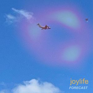 Joylife