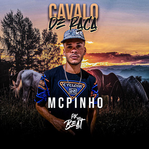 Cavalo de Raca