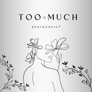 Too Much (Explicit)